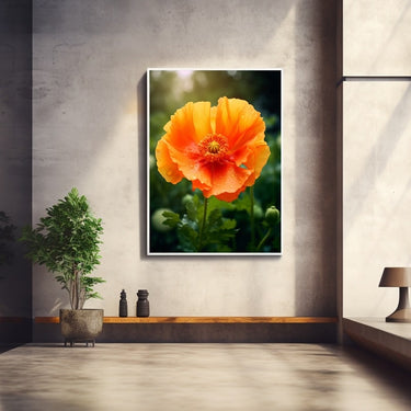 Orange Poppy Flower Painting